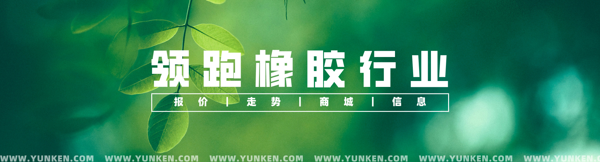 領跑橡膠行業banner